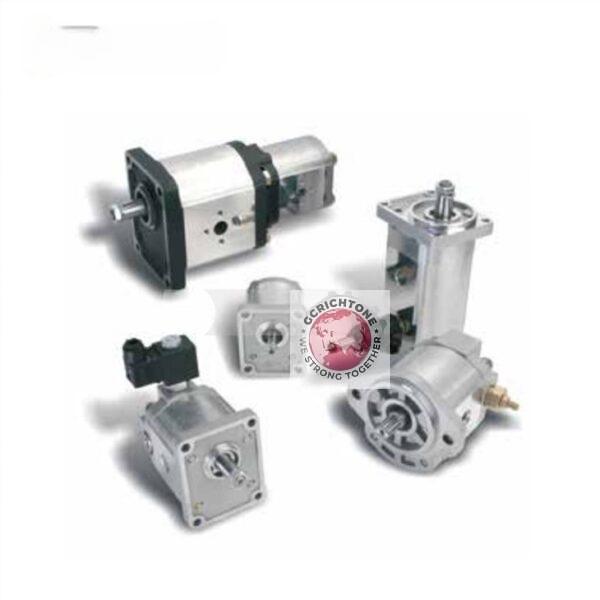 WSP10 WSP20 WSP30 Шестерной насос CASAPPA CASAPPA Gear Pump WSP10 WSP20 WSP30